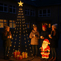 HEM HEM 3m LED Vlaggenmast Verlichting met Zwarte Mast - Lichtkerstboom - Kerstboom 3.0 m - 550 LED - Met HEM Opbergzak
