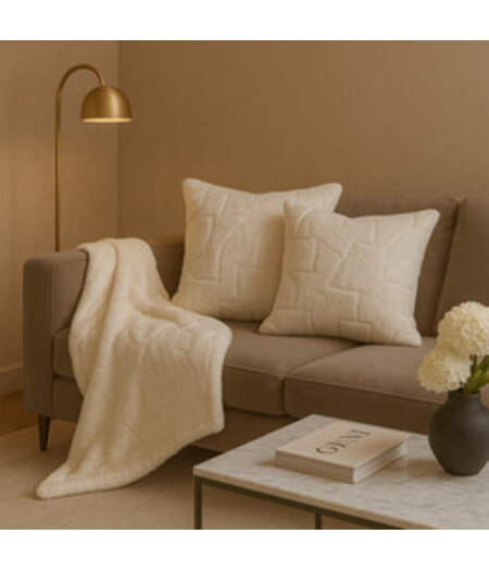 Sierkussen en Plaid Combinaties