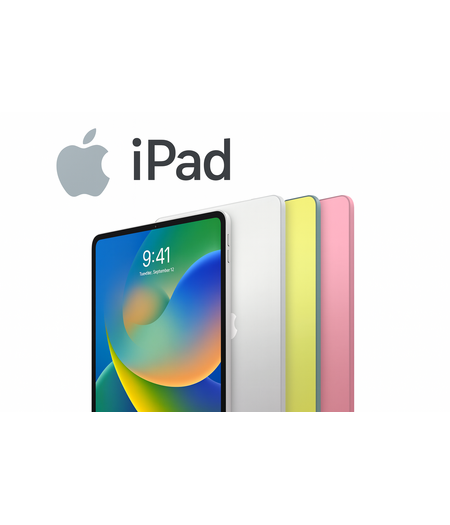 iPad Hoezen
