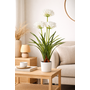 HEM HEM Kunstplant Agapanthus Wit 80 cm in witte pot – Nepplant voor binnen – Realistische kunstbloemen