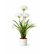 HEM Kunstplant Agapanthus Wit 80 cm