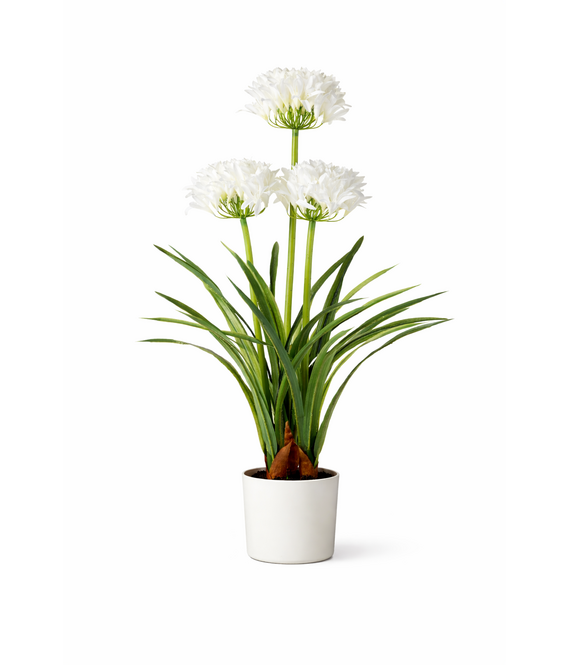 HEM HEM Kunstplant Agapanthus Wit 80 cm in witte pot – Nepplant voor binnen – Realistische kunstbloemen