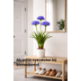 HEM HEM Kunstplant Agapanthus Paars 80 cm in witte pot – Nepplant voor binnen – Realistische kunstbloemen