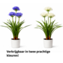 HEM HEM Kunstplant Agapanthus Wit 80 cm in witte pot – Nepplant voor binnen – Realistische kunstbloemen
