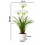 HEM HEM Kunstplant Agapanthus Wit 80 cm in witte pot – Nepplant voor binnen – Realistische kunstbloemen – Ideaal Als Bureau Tussenwand