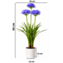 HEM HEM Kunstplant Agapanthus Paars 80 cm in witte pot – Nepplant voor binnen – Realistische kunstbloemen – Ideaal Als Bureau Tussenwand