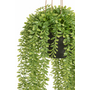 HEM HEM Kunst Hangplant 60 cm - Onderhoudsvrije Groene Hangplant in Pot - Realistische Kunstplant voor Binnen met Pot en Ophangsysteem - Balkon & Badkamer