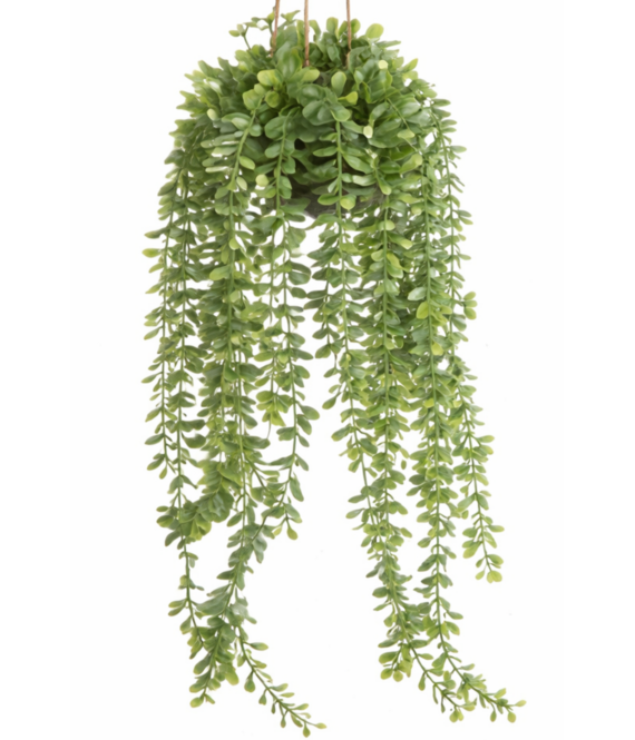 HEM HEM Kunst Hangplant 60 cm - Onderhoudsvrije Groene Hangplant in Pot - Realistische Kunstplant voor Binnen met Pot en Ophangsysteem - Balkon & Badkamer