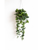 HEM Hangplant Kunstplant