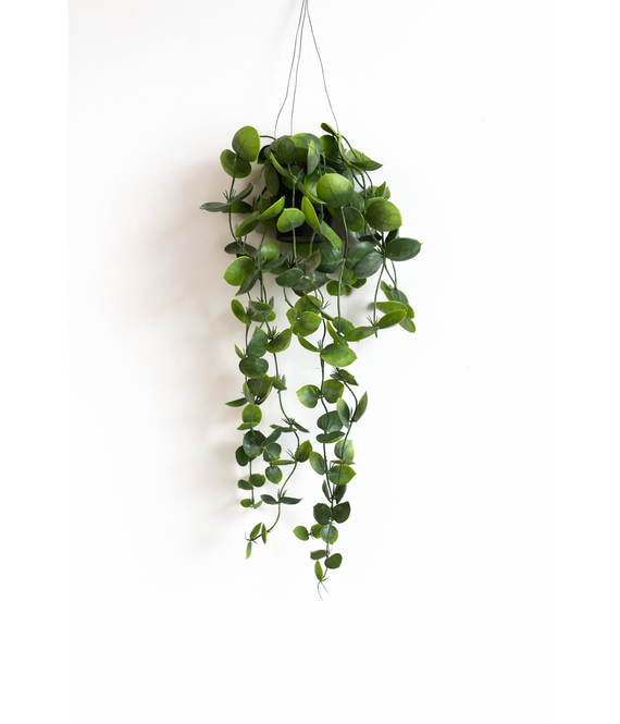 HEM HEM Hangplant Kunstplant – Groene Hangende Plant – Decoratieve Nepplant met Pot – Onderhoudsvrije Kamerplant voor Woonkamer, Badkamer of Kantoor
