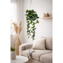 HEM HEM Hangplant Kunstplant – Groene Hangende Plant – Decoratieve Nepplant met Pot – Onderhoudsvrije Kamerplant voor Woonkamer, Badkamer of Kantoor