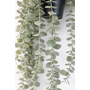 HEM HEM Hangplant kunstplant eucalyptus – Hangende kunstplant met pot – Realistische nepplant – Decoratieve hangplant voor woonkamer, badkamer of kantoor