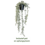 HEM HEM Hangplant kunstplant eucalyptus – Hangende kunstplant met pot – Realistische nepplant – Decoratieve hangplant voor woonkamer, badkamer of kantoor