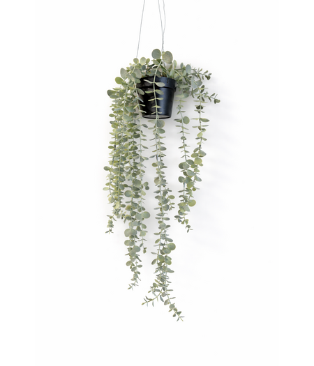 HEM HEM Hangplant kunstplant eucalyptus
