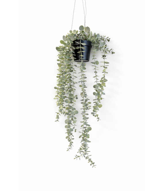 HEM HEM Hangplant kunstplant eucalyptus – Hangende kunstplant met pot – Realistische nepplant – Decoratieve hangplant voor woonkamer, badkamer of kantoor