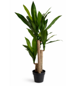 HEM Kunst Dracaena 120 cm met pot