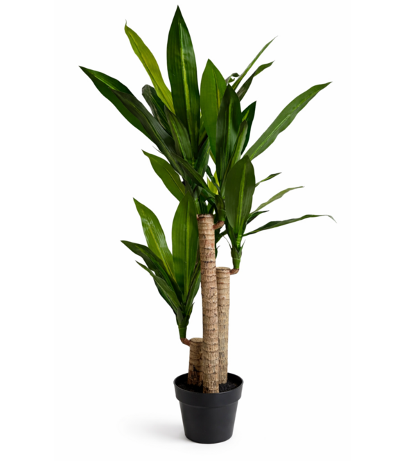 HEM Levensechte Kunst Dracaena fragans 120 cm met pot  - Kunstplant - Net echte Kamerplant - Groene Kunstplanten - Nep planten voor binnen - Kamer Decoratie - Nepplanten Kunst plant