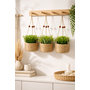 HEM HEM Kunstplant Hangplant Set 3x – Plantenhanger Jute Mand – Kleine Kunstplanten 12 cm – Groen – Onderhoudsvrij
