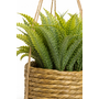 HEM HEM Kunstplant Hangplant Set 3x – Plantenhanger Jute Mand – Kleine Kunstplanten 12 cm – Groen – Onderhoudsvrij