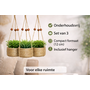 HEM HEM Kunstplant Hangplant Set 3x – Plantenhanger Jute Mand – Kleine Kunstplanten 12 cm – Groen – Onderhoudsvrij