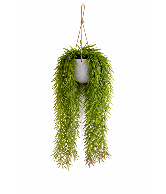 HEM HEM Kunsthangplant Wilg 66 cm – Groene Hangplant Kunst – Realistische Kunstplant met Pot – Onderhoudsvrij – Hangende Kamerplant voor Binnen Decoratie