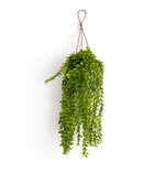 HEM Kunst Hangplant Wilg 66 cm