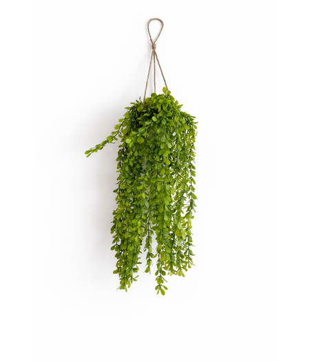 HEM HEM Kunst Hangplant Wilg 66 cm