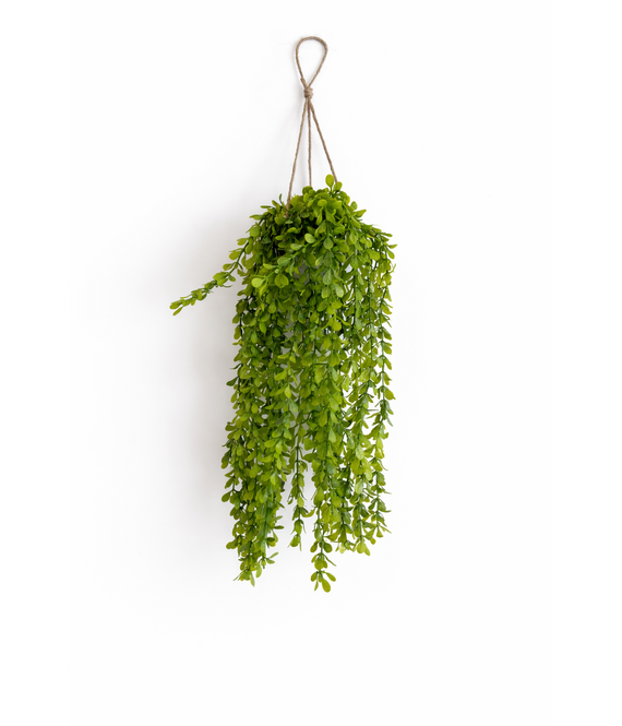 HEM HEM Kunst Hangplant Wilg 66 cm - Kunstplant Hangend - Groen - Onderhoudsvrij - Inclusief Pot - Kunstplant Binnen Decoratie