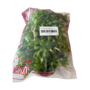 HEM HEM Kunst Hangplant Wilg 66 cm - Kunstplant Hangend - Groen - Onderhoudsvrij - Inclusief Pot - Kunstplant Binnen Decoratie