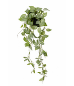 HEM Kunst Hangplant Fittonia Groen 70 cm