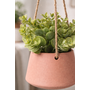 HEM HEM Kunst Hangplant Set van 3 – Groene Nep Planten Hangend – Wit, Terracotta & Groen – Inclusief Pot & Ophangsysteem – Onderhoudsvrije Decoratie Set