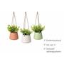 HEM HEM Kunst Hangplant Set van 3 – Groene Nep Planten Hangend – Wit, Terracotta & Groen – Inclusief Pot & Ophangsysteem – Onderhoudsvrije Decoratie Set