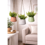 HEM HEM Kunst Hangplant Set van 3 – Groene Nep Planten Hangend – Wit, Terracotta & Groen – Inclusief Pot & Ophangsysteem – Onderhoudsvrije Decoratie Set