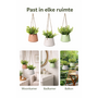 HEM HEM Kunst Hangplant Set van 3 – Groene Nep Planten Hangend – Wit, Terracotta & Groen – Inclusief Pot & Ophangsysteem – Onderhoudsvrije Decoratie Set