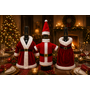HEM HEM Wijnfles Kerstdecoratie Set 3 Stuks - Kerstjurk Kerstmanpak & Kerstpak Met Muts - Wijnfleshoes - Flesversiering
