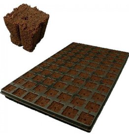 Eazy Plug CT77, 4x4 cm, 77 Stk. (pro Tray)