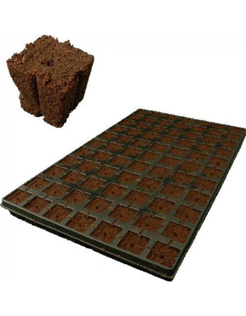 Eazy Plug CT77, 4x4 cm, 77 st. (per tray)