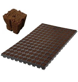 Eazy Plug CT150, 2x2 cm 150 Stk. (pro Tray)