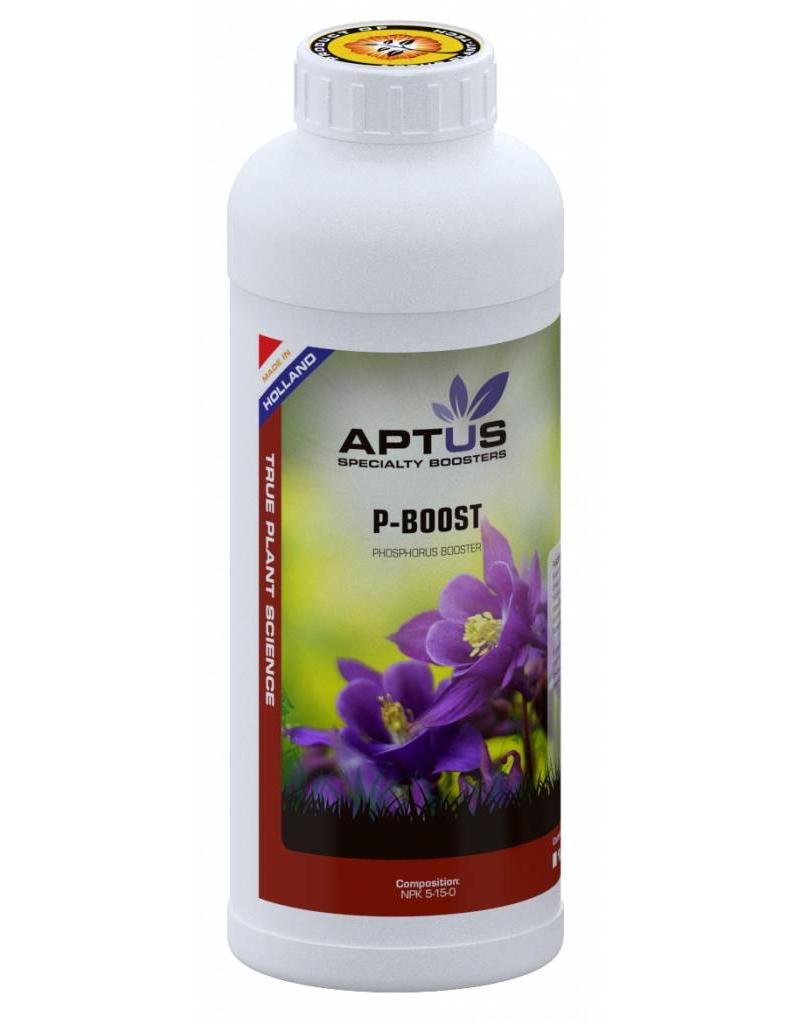 Aptus Aptus P-Boost 1 L