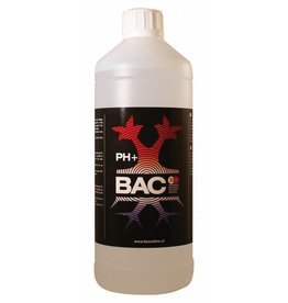 BAC BAC pH + 1 ltr