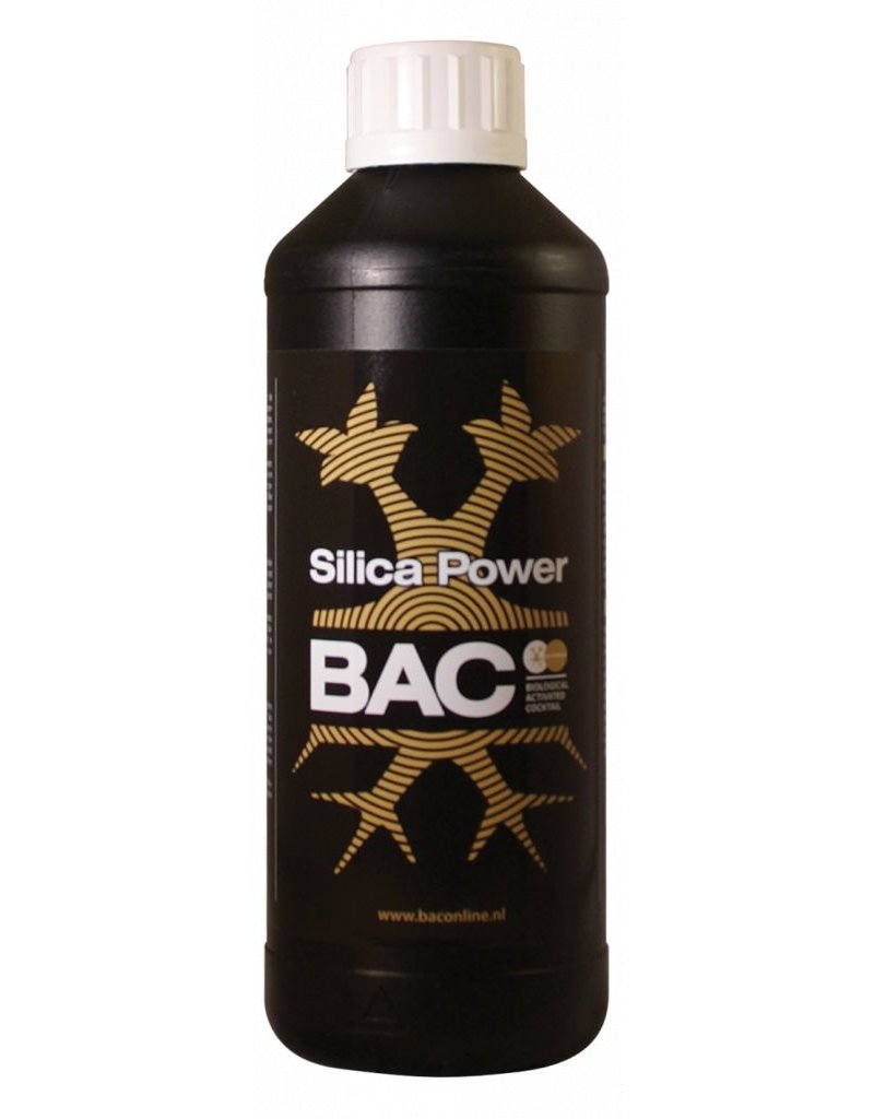BAC B.A.C. Sillica Power 1 ltr