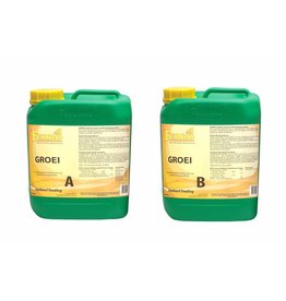 Ferro Ferro Aarde/Hydro Groei A+B 5 ltr