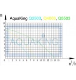 Aquaking Aquaking Dompelpomp Q5503
