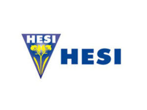 Hesi