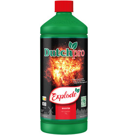 Dutchpro DutchPro Explode 1 L