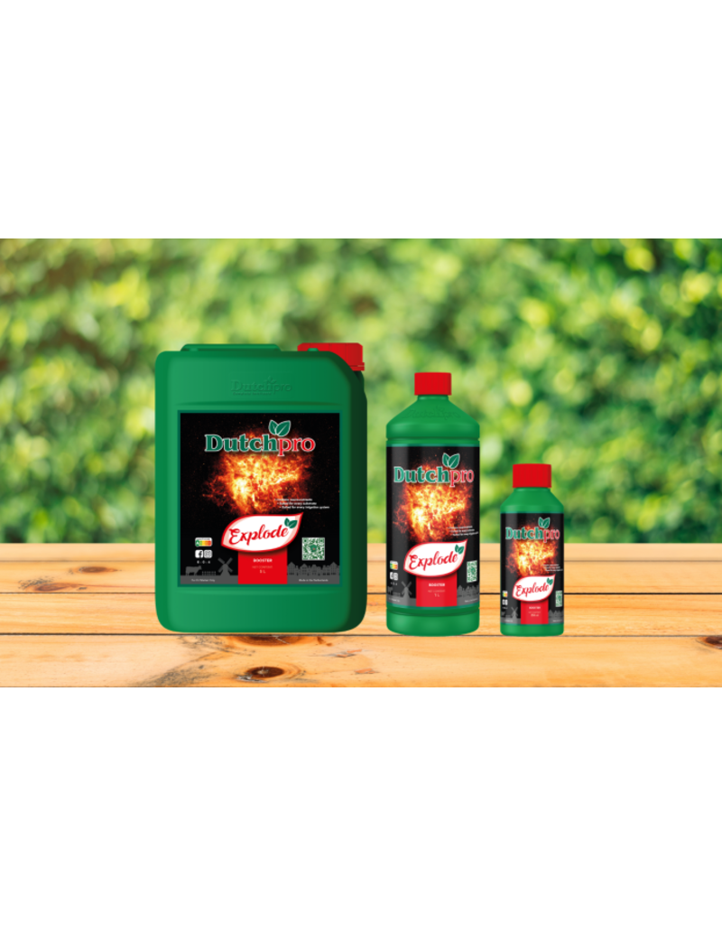 Dutchpro DutchPro Explode 1 L