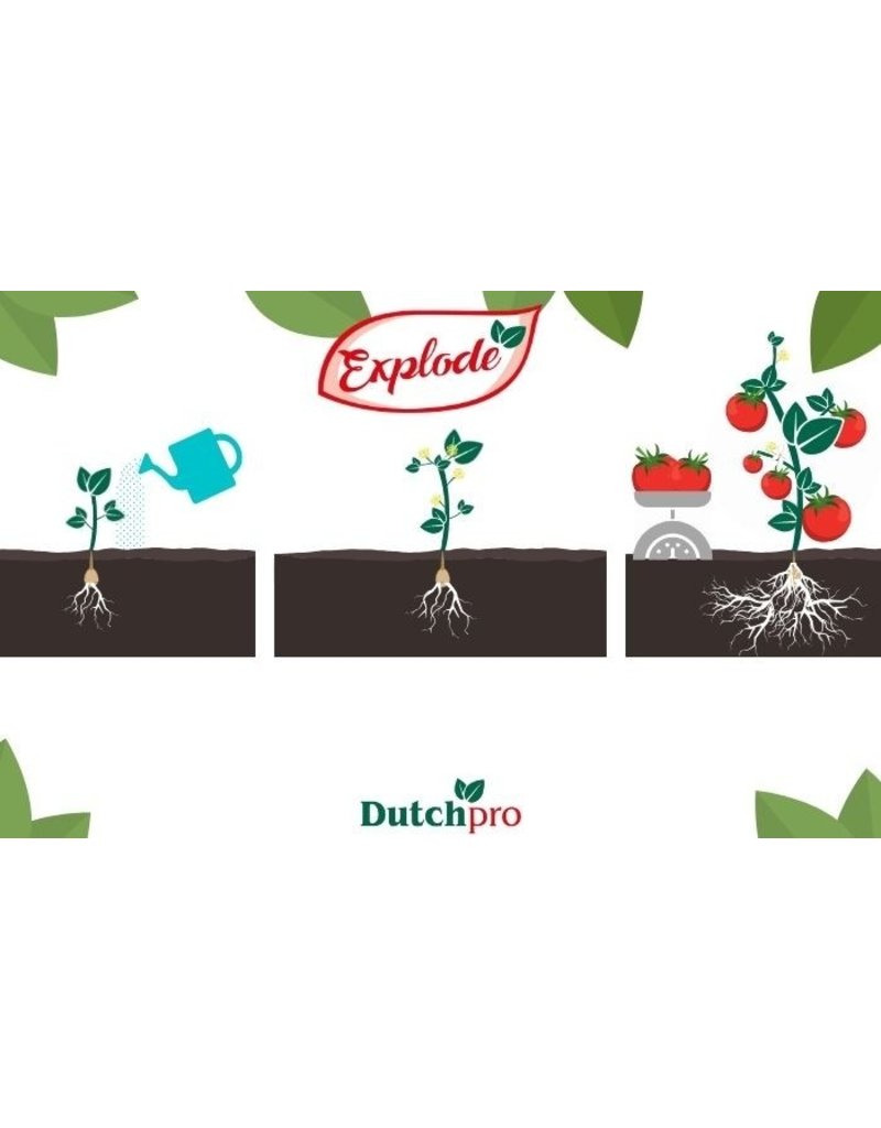 Dutchpro DutchPro Explode 1 L