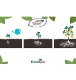 Dutchpro DutchPro Take Root 5 ltr