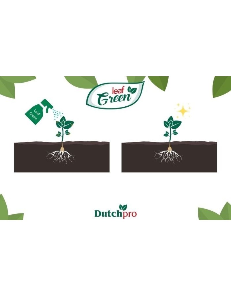 Dutchpro DutchPro Leaf Green 1 L