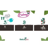 Dutchpro DutchPro Calmag 1 L